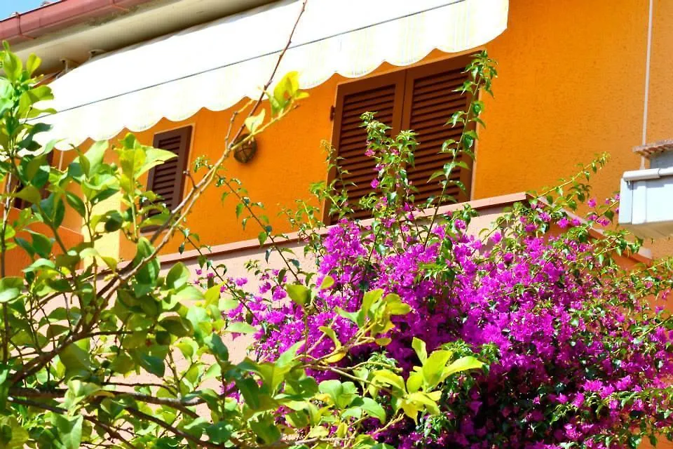 Hotel Anfora Capoliveri   Capoliveri (Isola d'Elba)