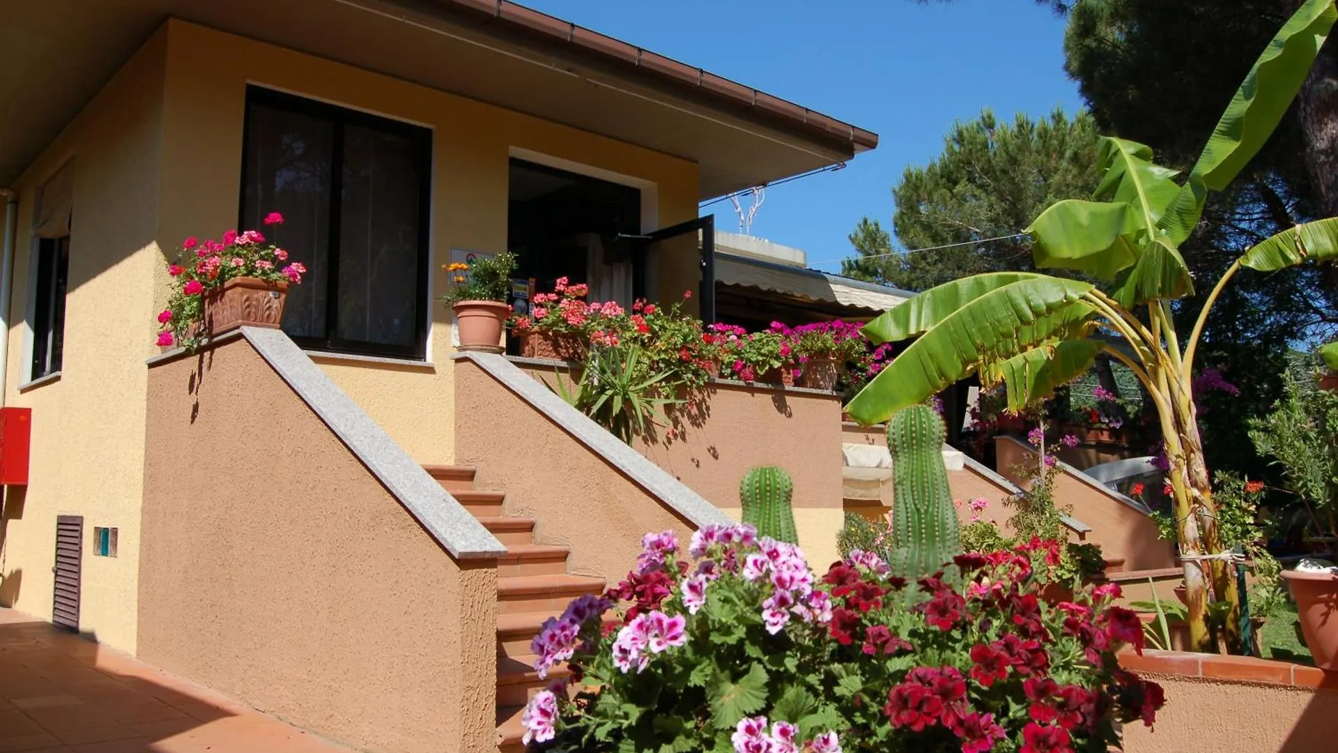 Hotel Anfora Capoliveri  Italy